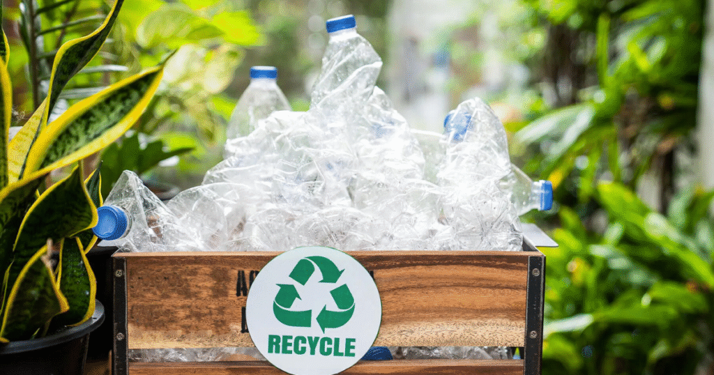Recycling plastic bottles placed in a wooden crate, highlighting the importance of reusing materials safely.